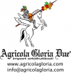 Agricola Gloria Due